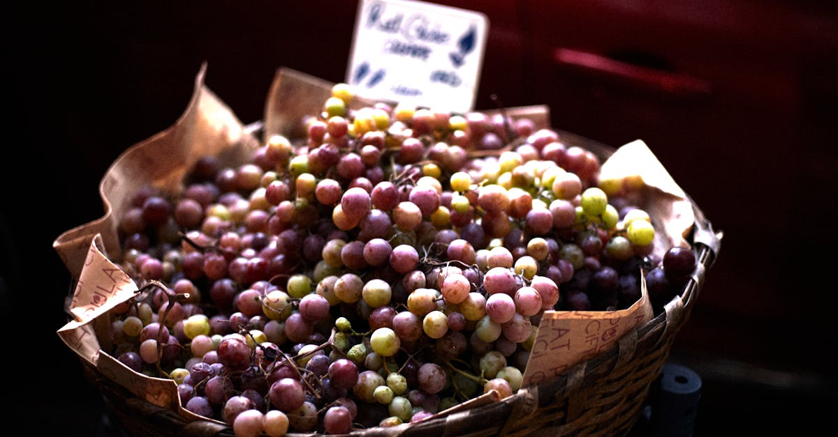 découvrez ce qu'est le panier moyen, son importance pour les entreprises, et des conseils pour l'augmenter afin d'améliorer votre chiffre d'affaires.