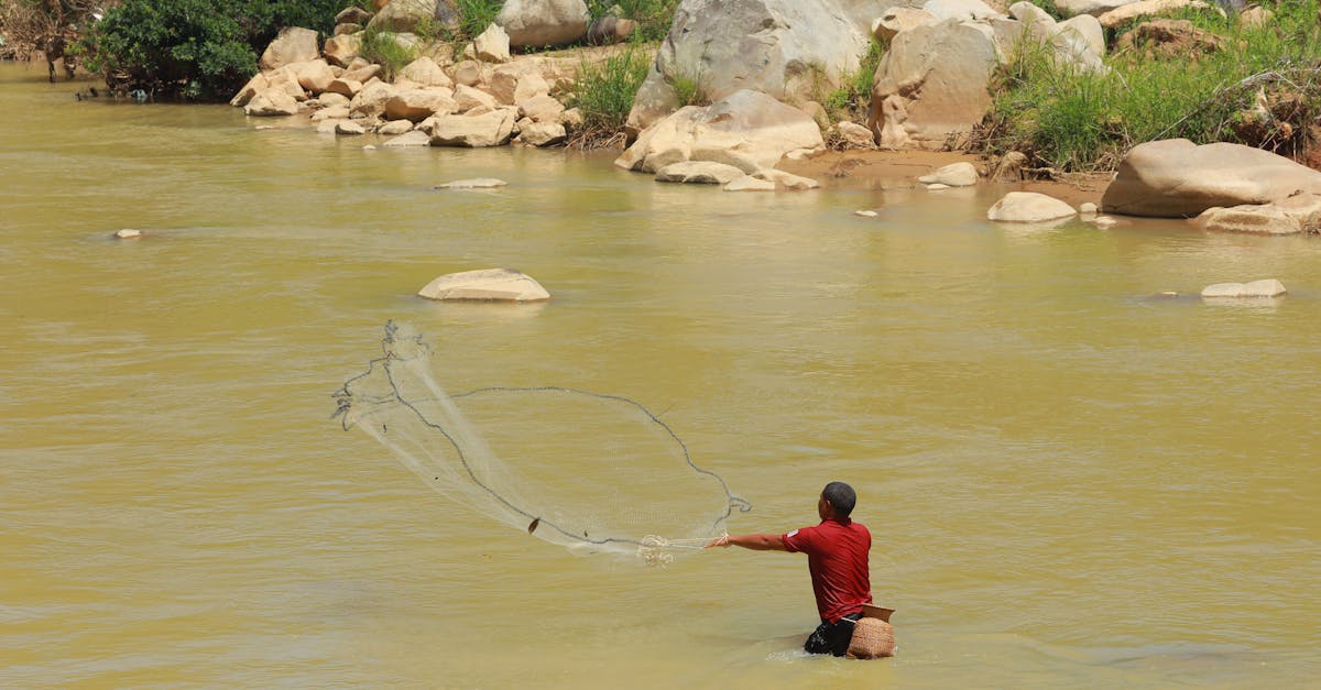 découvrez comment comprendre et gérer votre solde bancaire : conseils pratiques pour surveiller vos finances, éviter les découverts et optimiser votre gestion de compte au quotidien.