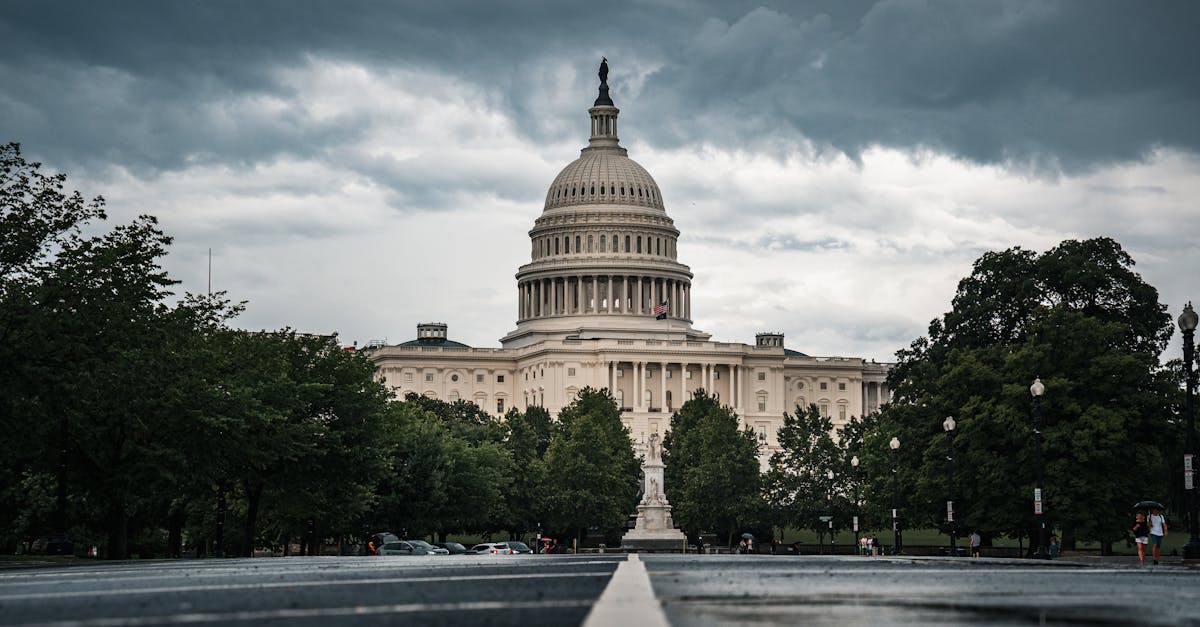 découvrez tout ce qu'il faut savoir sur le dcf : définition, utilité et méthodes d’application pour évaluer la valeur d'une entreprise grâce à la technique des flux de trésorerie actualisés.